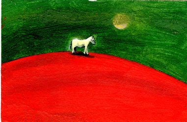 Nuit verte, 2004